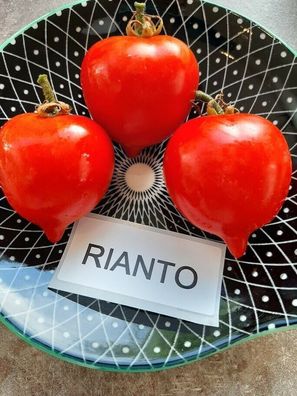 Tomate Rianto Tomato 5+ Samen - Seeds - Graines - Saatgut - Gemüsesamen P 341