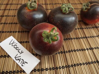 Wooly Kate Tomate - 5+ Samen - Saatgut - Seeds - Wollige RARITäT! P 023