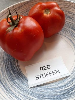Tomate Red Stuffer Tomato 5+ Samen - Seeds - Graines - Saatgut P 338