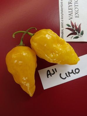 Aji Limo Chili 5+ Samen - Zitronengelbe RARITäT! Ch 033