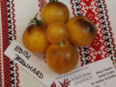 Edith Bernhard Tomate - 10+ Samen - Saatgut - Seeds Delikate RARITäT! P 015