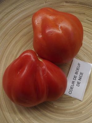 Tomate Ochsenherz von Nizza - Coeur de Boeuf de Nice - Tomato 5+ Samen P 282