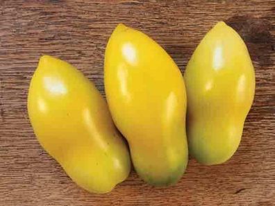 Tomate Yellow Icicle - Gelber Eiszapfen - 5+ Samen SÜß und Perfekt! P 432