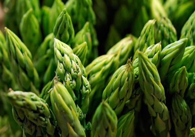 Grünspargel Mary Washington - Asparagus - 20+ Samen - Saatgut - Seeds K 009