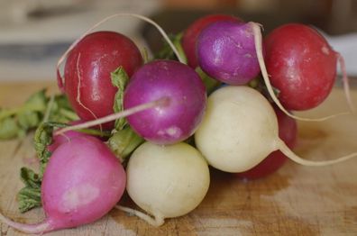 Ostereier Radieschen - Easter Egg radish - 25+ Samen - Saatgut - Seeds R 027