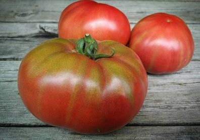 Tomate Black Mamba 5+ Samen - Seeds - samenfeste schwarze Fleischtomate P 449