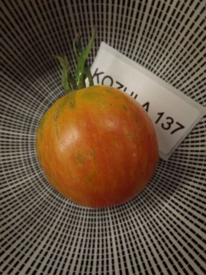 Kozula 137 Tomate Tomato 10+ Samen - Saatgut - Seeds - Gemüsesamen P 317
