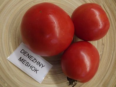 Moneymaker - Denezhniy Meshok Tomate - Tomato 5+ Samen - Saatgut - Seeds P 293