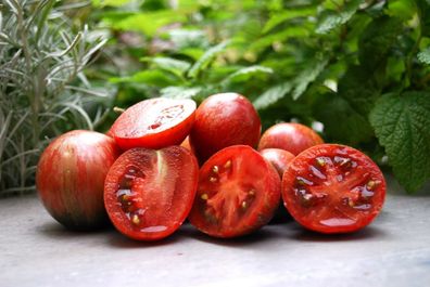 Tomate Orion´s Belt 5+ Samen - Seeds - Graines - kleinwüchsige Stabtomate P 430