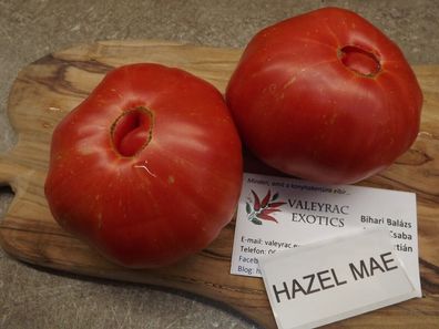 Hazel Mae Tomate Tomato 10+ Samen - Saatgut - Seeds - Gemüsesamen P 247