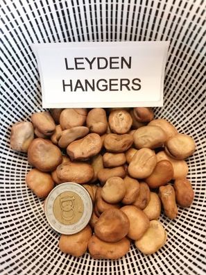 Leyden Hangers Puffbohne - Fava - 5+ Samen - Seeds - Gemüsesamen H 072