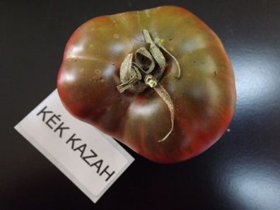 Blaue Kasachstan Tomate - Tomato 5+ Samen - Saatgut - Seeds - Gemüsesamen P 272