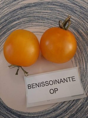Tomate Benissoinante Tomato 5+ Samen - Seeds - Graines - Saatgut P 358