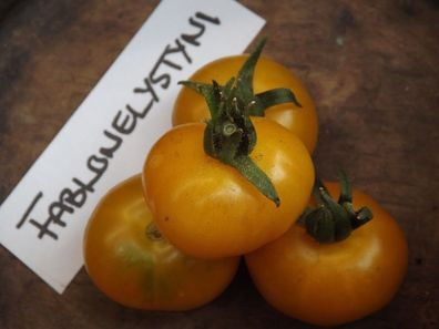 Fablonelystyni Tomate - 5+ Samen - Saatgut - Seeds - Mini Beefsteak Tomate P 166