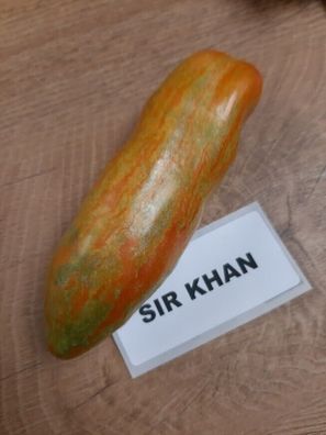 Tomate Shir Khan Sherkhan - halbdeterminante Sorte Tomato 5+ Samen Seeds P 498