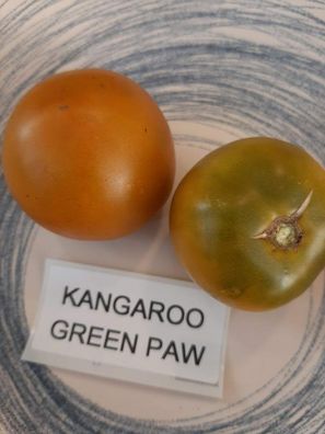 Tomate Kangaroo Green Paw Tomato 10+ Samen - Seeds - Graines - Saatgut P 362
