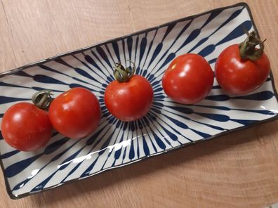 Tomate Grandpa´s Minnesota samenfeste Kirschtomate aus den USA 20+ Samen P 468
