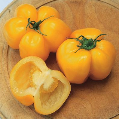 Tomate Yellow Stuffer 5+ Samen - Seeds - Graines - HOHL und FEIN! P 357