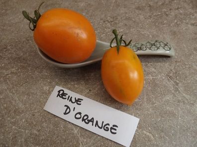 Reine d´orange Tomate - 5+ Samen - Saatgut - Fleischig und FEIN! P 167