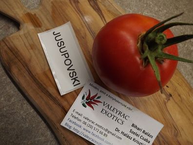 Jusupovski Tomate aus Russland - Tomato 5+ Samen - Saatgut - Seeds P 292