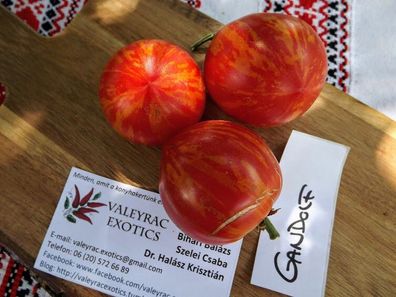 Gandolf Tomate - Tomato 5+ Samen - Saatgut - Seeds - Gemüsesamen P 236