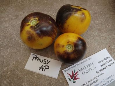Pansy Ap Tomate - Tomato 5+ Samen - Saatgut - Seeds - Graines P 011