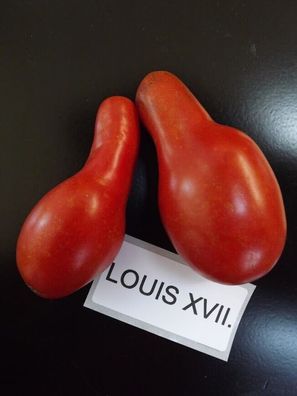 Tomate Ludwig XVII. 5+ Samen - Saatgut - Seeds determinierte Tomate P 373