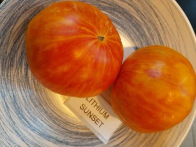 Tomate Lithium Sunset - Tomato 5+ Samen - Seeds - Graines - Saatgut P 336