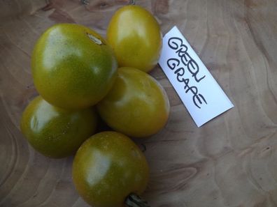 Tomate Green Grape 10+ Samen - Seeds - Graines - SÜß und Ertragreich! P 180