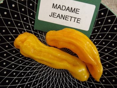 Madame Jeanette Chili Pepper 5+ Samen - Saatgut - Seeds - Gemüsesamen Ch 135