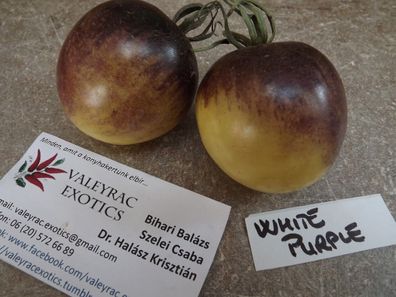 White Purple Tomate - 10+ Samen - Saatgut - Seeds Honigsüße RARITäT! P 031
