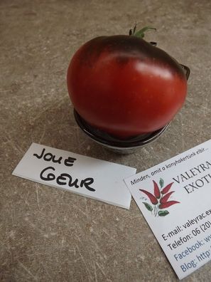 Jolie Coeur Tomate - 5+ Samen - Saatgut - Seeds - SCHÖN und Besonders! P 012
