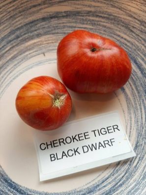 Tomate Cherokee Tiger Black Dwarf Tomato 5+ Samen - Seeds - Graines P 350