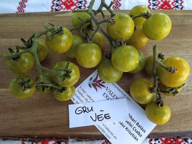 Gru vée Tomate - Tomato 5+ Samen - Saatgut - Seeds - Gemüsesamen P 262