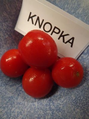 Knopka Tomate - Tomato 5+ Samen - Saatgut - Seeds - Gemüsesamen - Graines P 307