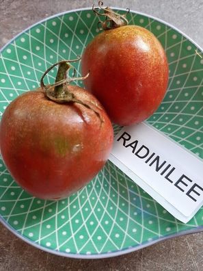 Tomate Radinilee Tomato 5+ Samen - Seeds - Graines - Saatgut - Gemüsesamen P 342