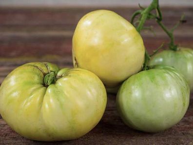 Yazon Tomate 5+ Samen - Gemüsesamen - Saatgut - SÜßER RIESE! P 300
