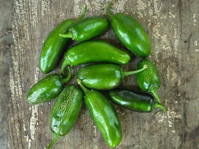 Jalapeno Craig´s Grande Chili 5+ Samen - Saatgut - Seeds - Gemüsesamen Ch 198