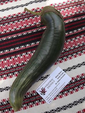 Aubergine Bangladesh Long - eggplant - grün - 5+ Samen Ertragreich FEIN!So 018