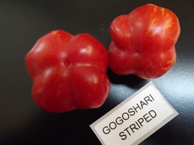 Gogoshari Striped Tomate - Tomato 5+ Samen - Saatgut - Seeds - Graines P 324