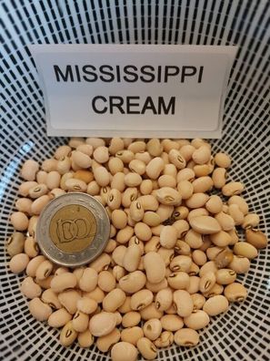Mississipi Cream Augenbohne - Cowpea - 5+ Samen - Saatgut - Seeds H 083