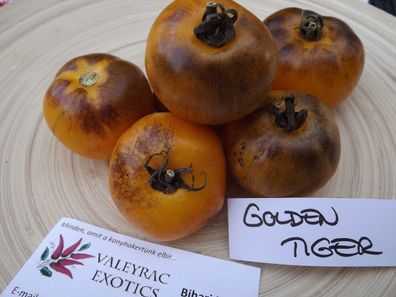 Tomate Golden Tiger - 10+ Samen - Saatgut - Wunderschöne Besonderheit! P 032