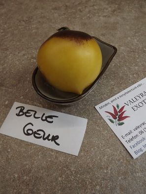 Belle Coeur Tomate - 5+ Samen - Saatgut - SCHÖN und Besonders! P 013