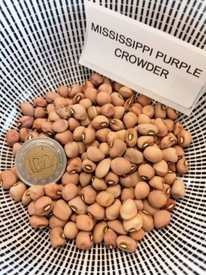 Mississipi Purple Crowder Augenbohne - Cowpea - 5+ Samen - Saatgut - Seeds H 082