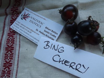 Tomate Indigo Bing Cherry 5+ Samen - Exotisch und FEIN! P 006