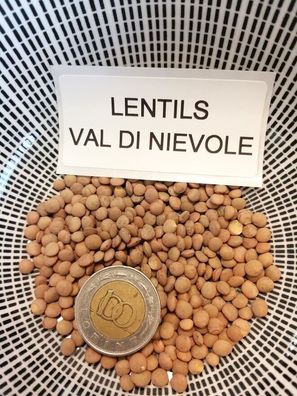 Val di Niévole Linsen - Lentils - 25+ Samen Saatgut - Seeds - Ertragreich! H 102