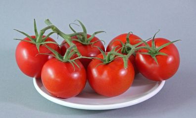 Varto Tomate - Tomato 5+ Samen - Saatgut - Seeds - Gemüsesamen P 232