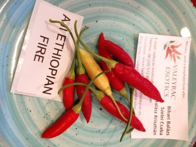Aji Ethiopian Fire Chili 5+ Samen - Saatgut - Seeds - Gemüsesamen Seeds Ch 173