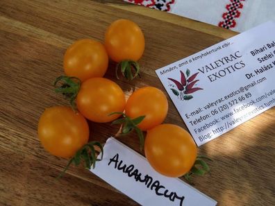 Aurantiacum Tomate - Tomato 10+ Samen - Saatgut - Seeds - Gemüsesamen P 249
