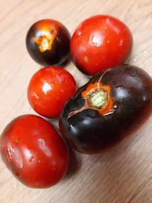 Tomate Clackamas Blueberry - samenfeste Kirschtomate aus USA 5+ Samen P 482
